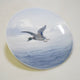  18x18x2cm